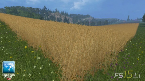Forgotten-Plants-Wheat-and-Barley-v-1.0-2