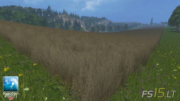 Forgotten-Plants-Wheat-and-Barley-v-1.0-3