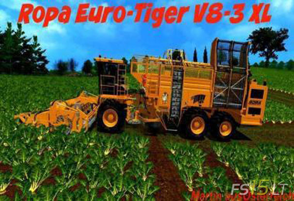 ropa-euro-tiger