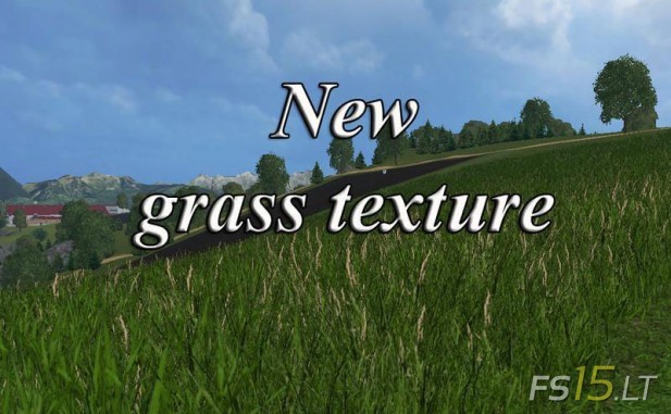 Grass-Texture